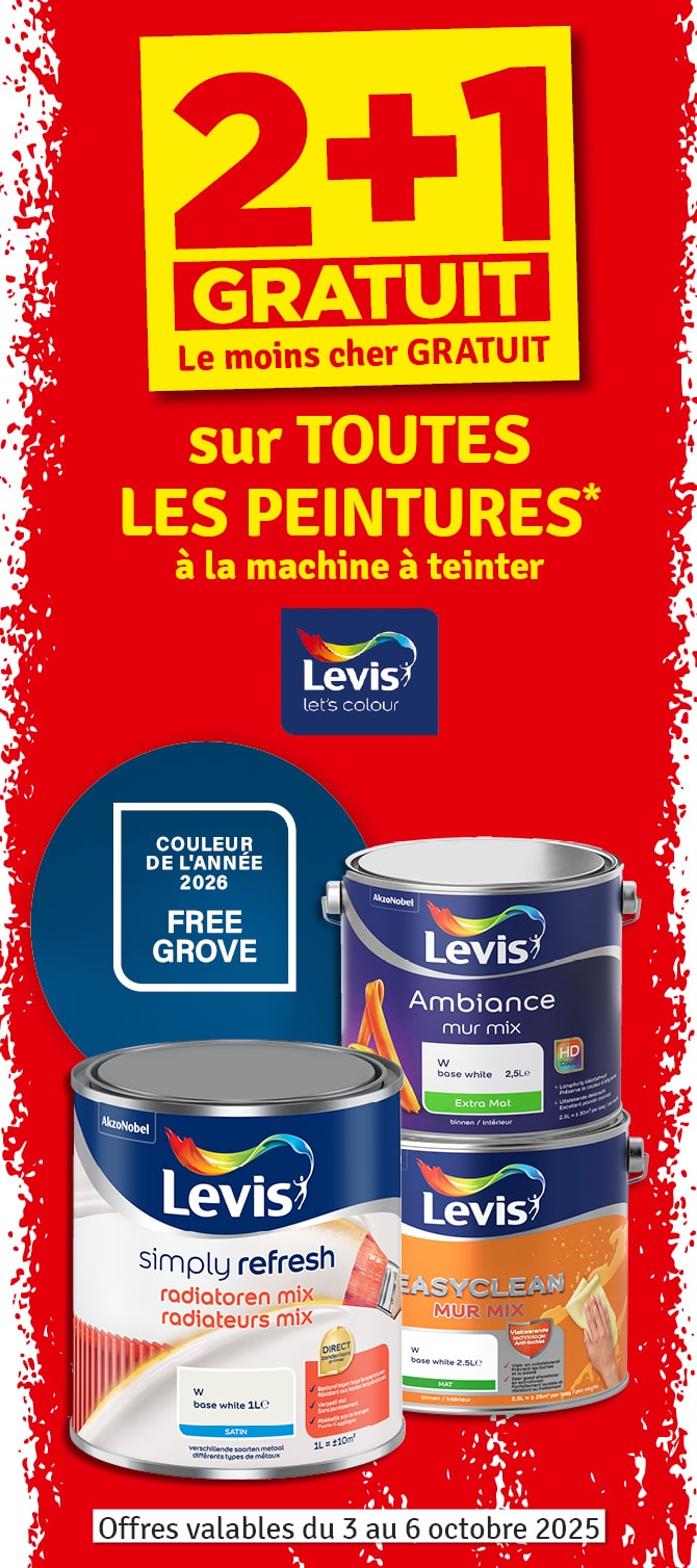 2 + 1 gratuit sur les peintures à la machine à teinter LEVIS